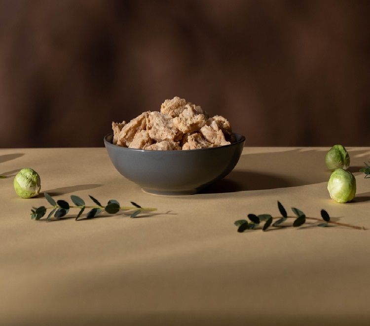 cocinar-carne-de-soja