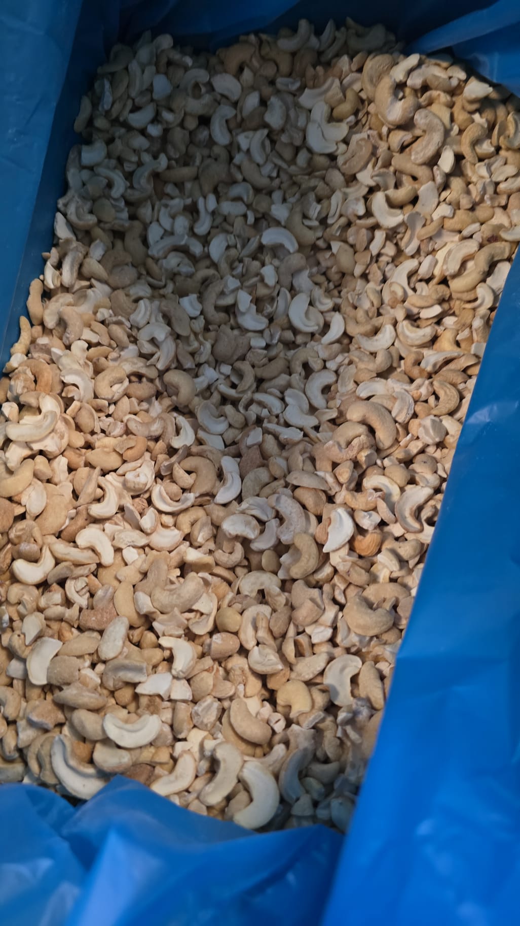 ANACARDO CRUDO MITADES - Imagen 2