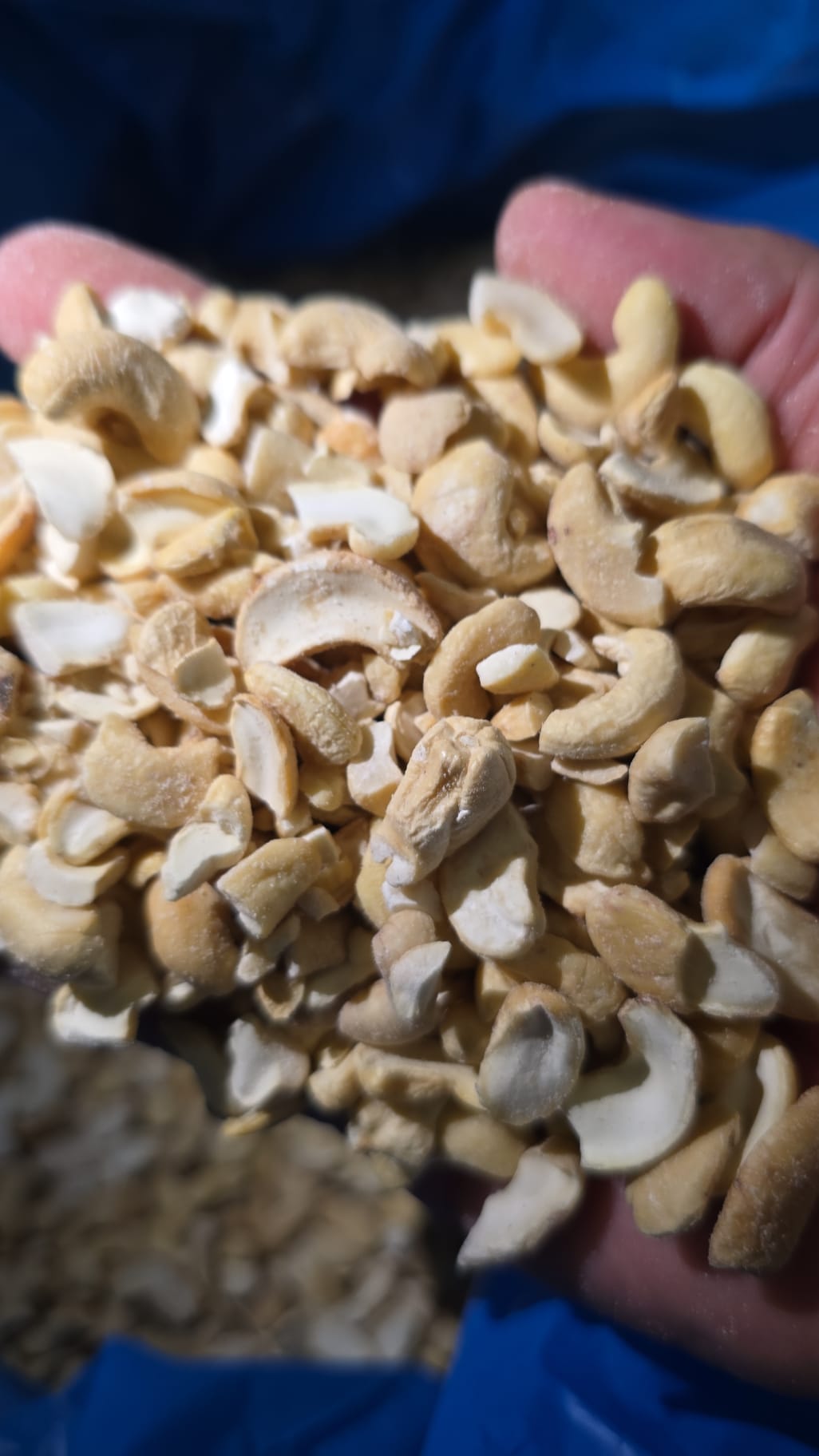 ANACARDO CRUDO MITADES